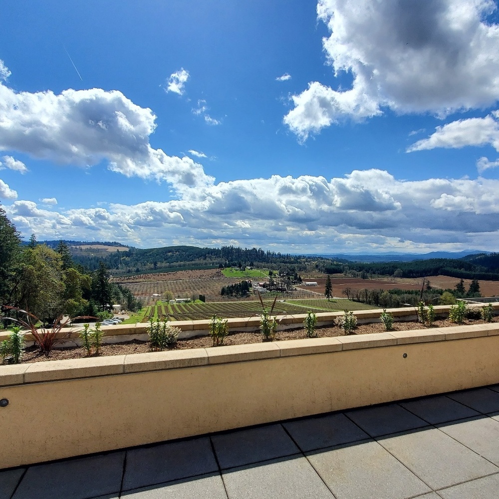 Meet your Posher, Brady